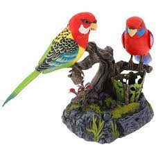 Ensemble Beautiful Birds