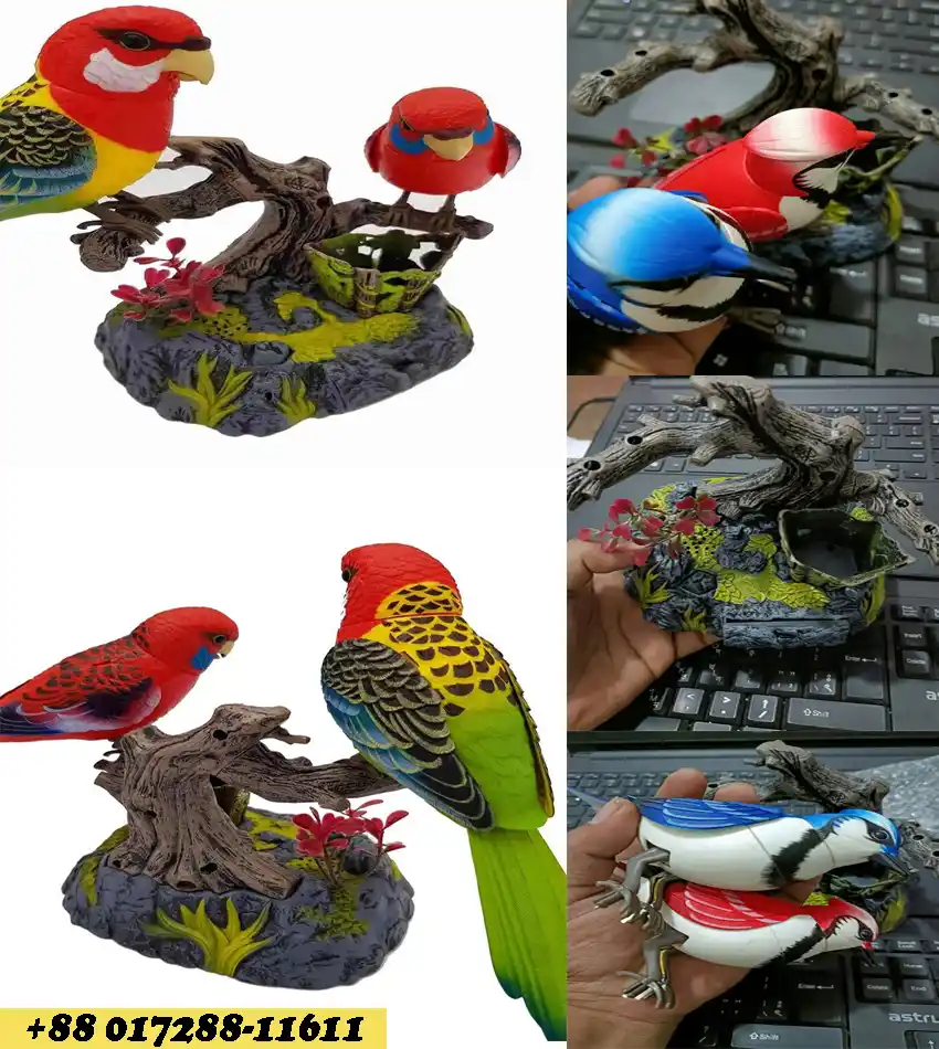 Ensemble Beautiful Birds