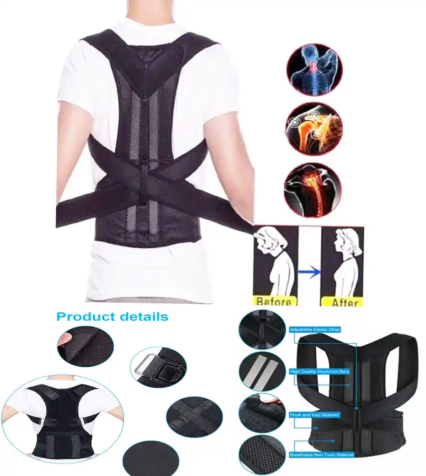 Back support Belt