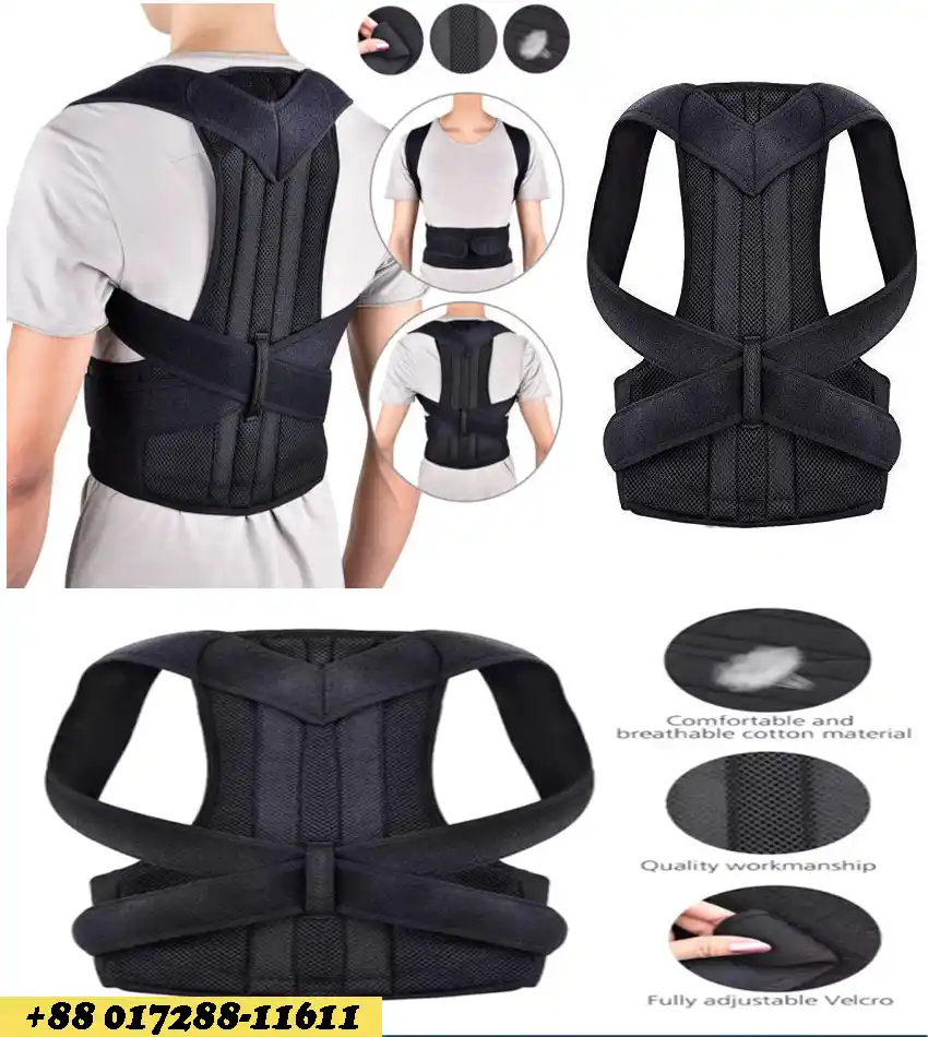 Back support Belt