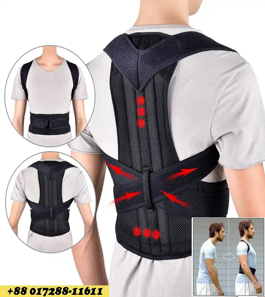 Back support Belt