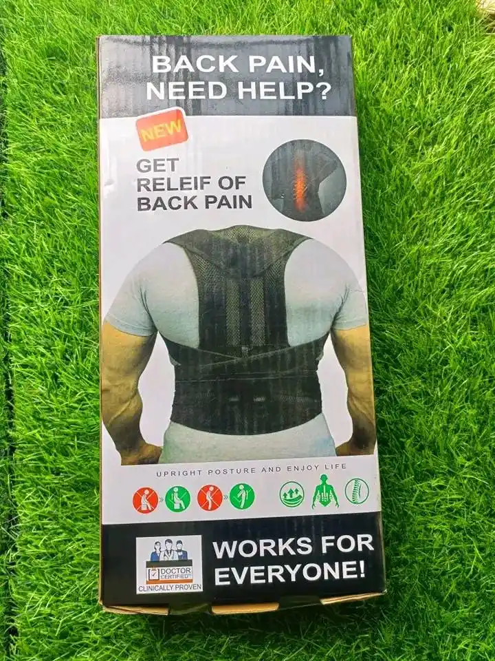 Back support Belt